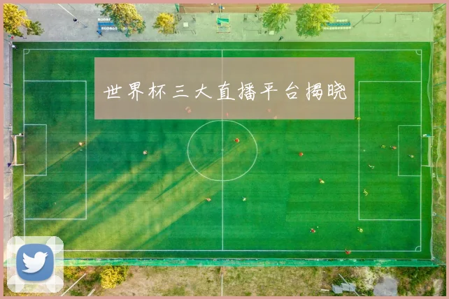 世界杯三大直播平台揭晓