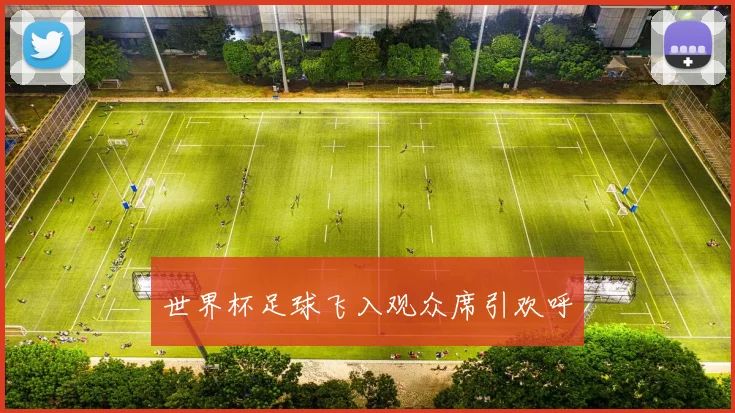世界杯足球飞入观众席引欢呼