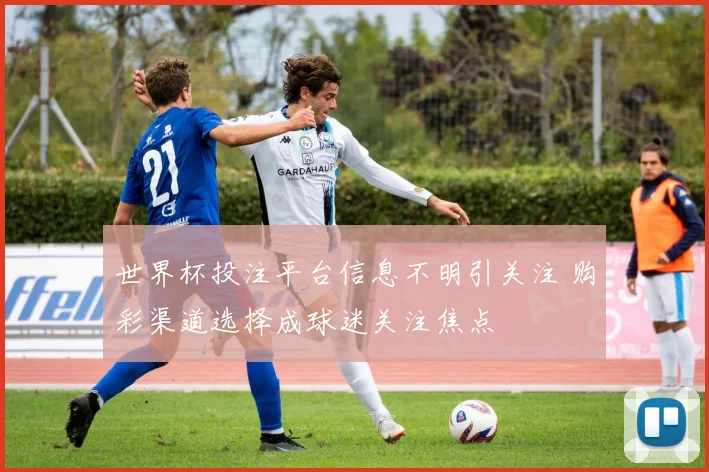 世界杯投注平台信息不明引关注 购彩渠道选择成球迷关注焦点