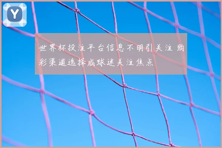 世界杯投注平台信息不明引关注 购彩渠道选择成球迷关注焦点