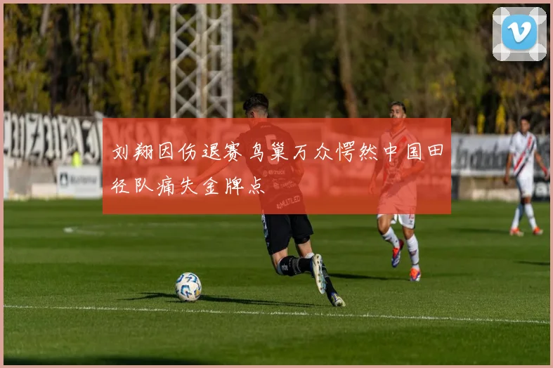刘翔因伤退赛鸟巢万众愕然中国田径队痛失金牌点
